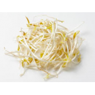 BEAN SPROUTS 