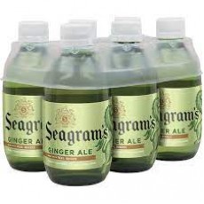 SEAGRAM'S GINGER ALE BTLS 10 OZ 24/CS