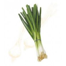 GREEN ONIONS SCALLIONS EA