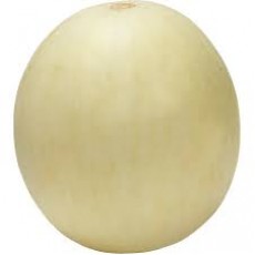 HONEYDEW MELON EA