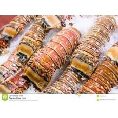 LOBSTER TAIL 8OZ PORTIONS PER LB