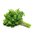 PARSLEY BUNCH