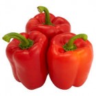 BELL PEPPERS RED LB