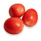 ROMA TOMATOES PER LB