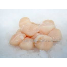 SCALLOPS PER LB