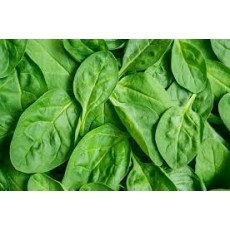 SPINACH BABY 10 OZ