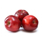 RED EXTRA FANCY APPLES EA
